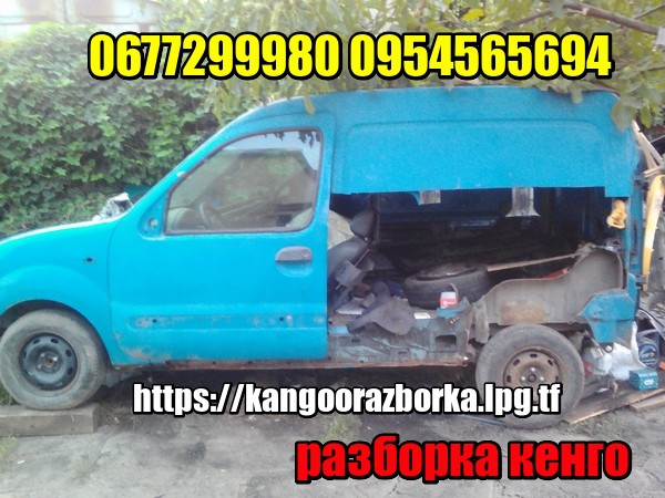 Renault Kangoo все запчасти с разборки для 1.4i 1.5cdi 1.9d Київ - зображення 1