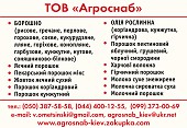 Гороховая мука текстурированная из г. Киев
