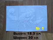 Наклейка на авто Скорпион Белый из г. Борисполь