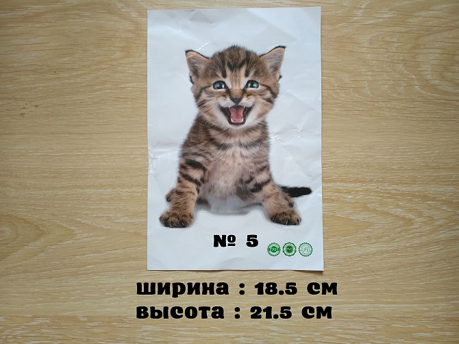 Наклейка котик номер 5 для ванны, детской комнаты Борисполь - изображение 1