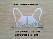 Наклейка на авто Собака Белая светоотражающая із м. Бориспіль