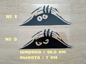Наклейка на авто или мото Подглядывает Чёрная из г. Борисполь