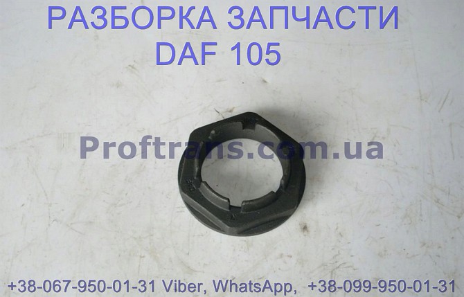 1396548 Гайка ступицы задней Daf XF 105 Даф ХФ 105 Львов - изображение 1