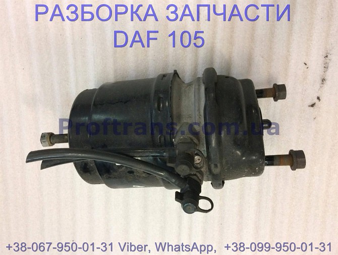 1686001, 1686002 Энергоаккумулятор задний Daf XF 105 Даф ХФ 105 Львов - изображение 1