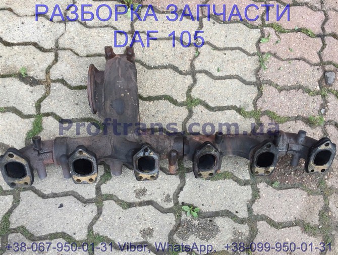 1653370, 1861806 Выпускной коллектор 1 цилиндр Daf XF 105 Львов - изображение 1