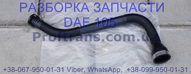 1638930 Патрубок маслозаливной горловины Daf XF 105 Даф ХФ 105 Львов - изображение 1