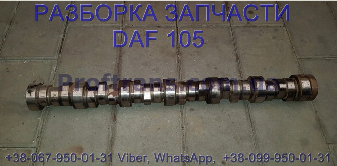 1687747, 2002045 Распредвал Daf XF 105 Даф ХФ 105 Львів - зображення 1