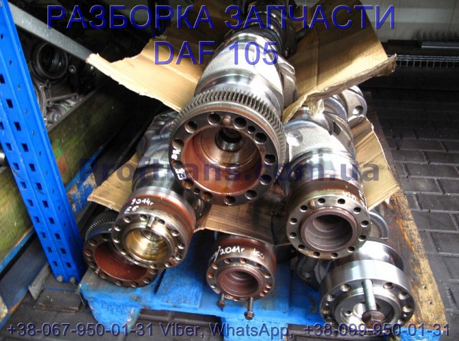 1682505 Шестерня коленвала Daf XF 105 Даф ХФ 105 Львів - зображення 1
