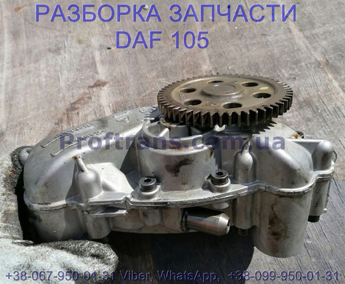 1840521, 1698645, 1698646 Помпа масла Daf XF 105 Даф ХФ 105 Львов - изображение 1