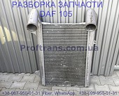 1691392, 1677327 Интеркулер Daf XF 105 Даф ХФ 105 із м. Львів