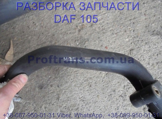 1645506, 2124564 Патрубок охлаждения Daf XF 105 Даф ХФ 105 Львів - зображення 1