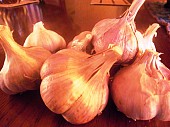Продам чеснок, Семена из г. Киев