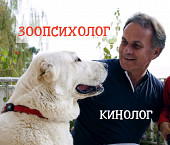 Зоопсихолог, кинолог - дрессировка собак, коррекция поведения. Выезд на дом Киев и обл. или Online із м. Київ