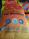 Подсолнечник НС Фалкон , єс Бесана, ЄС Бамбина, Анхель (a-g+) из г. Днепр