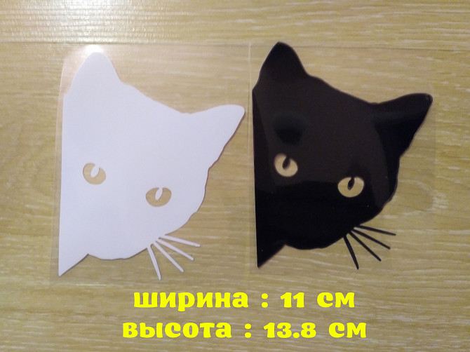 Наклейка на авто Кот на авто Белая, чёрная Бориспіль - зображення 1