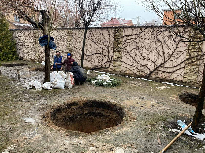 Викопати Посадкову Яму для Дерева Ялинки Кривой Рог - изображение 1