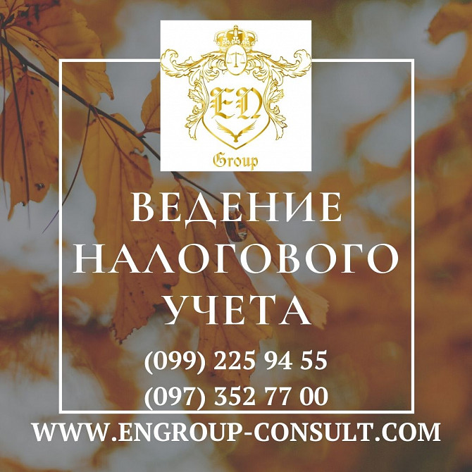 Профессиональное ведение налогового учета Харків - зображення 1