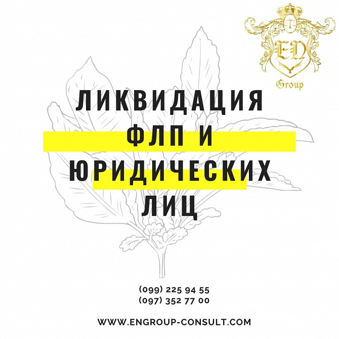 Ликвидация Флп и юридических лиц под ключ Харьков - изображение 1