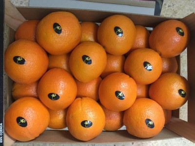 Продаем апельсины Київ - зображення 1