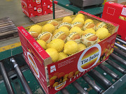 Продаем лимоны Київ