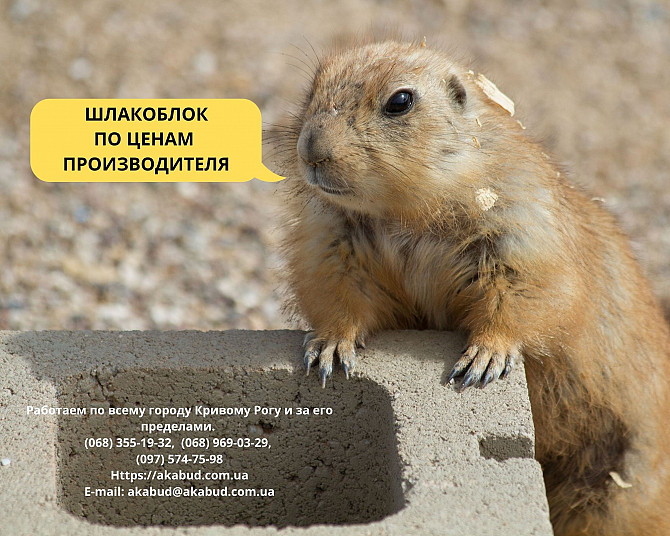 Столб виноградный бетонный. Жби Кольца Кривой Рог. Шлакоблок стеновой 390х190х190 мм Кривий Ріг - зображення 1