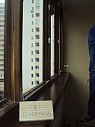 Деревянные евроокна из сосны и дуба із м. Київ