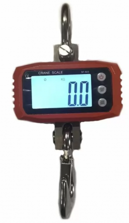 Крановые весы Sf923 на 1 тонну Запоріжжя - зображення 1