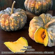 Семена сладкой тыквы Чириман, Япония із м. Новгород-Сіверський