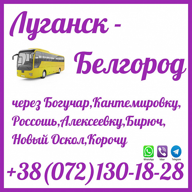 Автобус Луганск - Краснодон - Россошь - Бирюч - Новый Оскол - Белгород. Луганськ - зображення 1