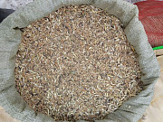 Куплю некондиционное зерно. Отходы зерновых, бобовых, масличных Сумы