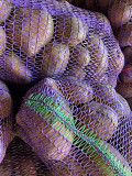 Продам домашню картоплю Вінниця