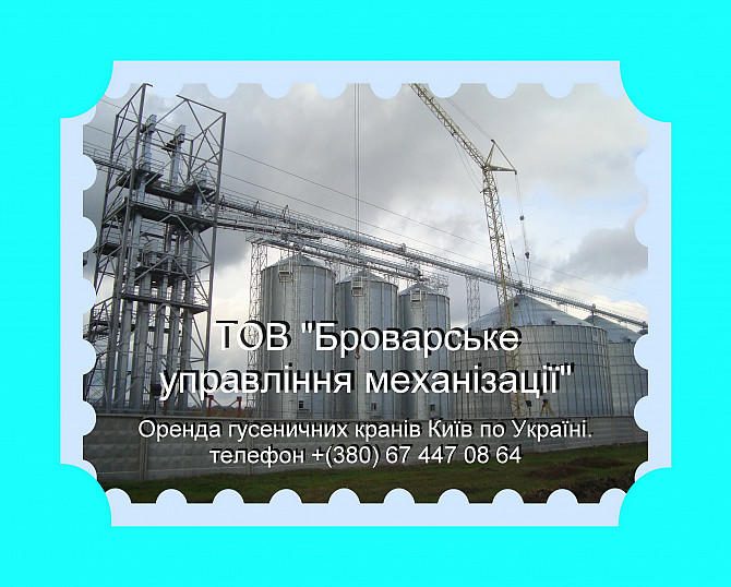 Крани гусеничні Мкг-25бр. Оренда кранів від власника Київ по Україні (067) 447 08 64. Бровари - зображення 1