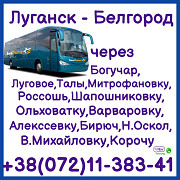 Автобус Луганск - Белгород - Луганск. Луганськ