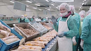 Робота в Словаччині на хлібокомбінаті, зарплата 1200 Євро на місяць із м. Чернівці