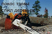 Спил дерева, демонтаж работы, земляные работы в ручную Одеса Одеса