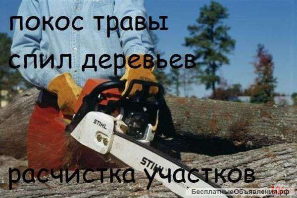 Спил дерева, демонтаж работы, земляные работы в ручную Одеса Одеса - зображення 1