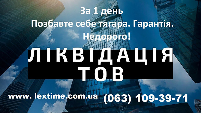 Ліквідація Тов за 24 години. м. Чернігівська/лісова/ Київ - зображення 1