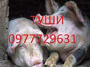 Свинное свежое мясо Одесса