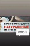 Продать волосы дорого -куплю волося дороже других -volosnatural із м. Київ