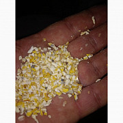 Зерновідходи та побічний продукт з кукурудзи Сумы