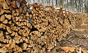 Продам дрова із м. Могилів-Подільський