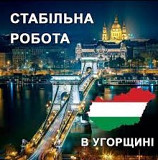 Офіційна робота в Угорщині. Робота в Європі Чернівці