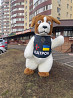 Пес Патрон костюм надувной із м. Київ