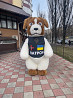 Ростовий костюм Пес Патрон із м. Київ