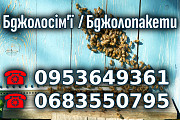 Пчелопакеты, пчелосемьи продам із м. Надвірна