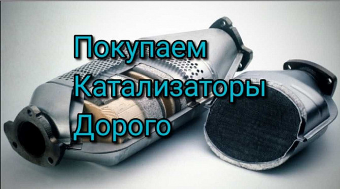 Скупка катализаторов Полтава Полтава - изображение 1