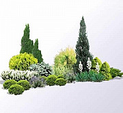 Ландшафтний дизайн, догляд за садом Київ