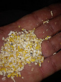 Побічний продукт кукурудзи, зерновідходи від 25 т Полтава