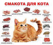 М 'ясо для собак і котиків із м. Васильків