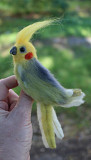 Брошь папугай корелла валяная из шерсти игрушка интерьерная прикраса сувенір подарунок іграшка птах из г. Одесса